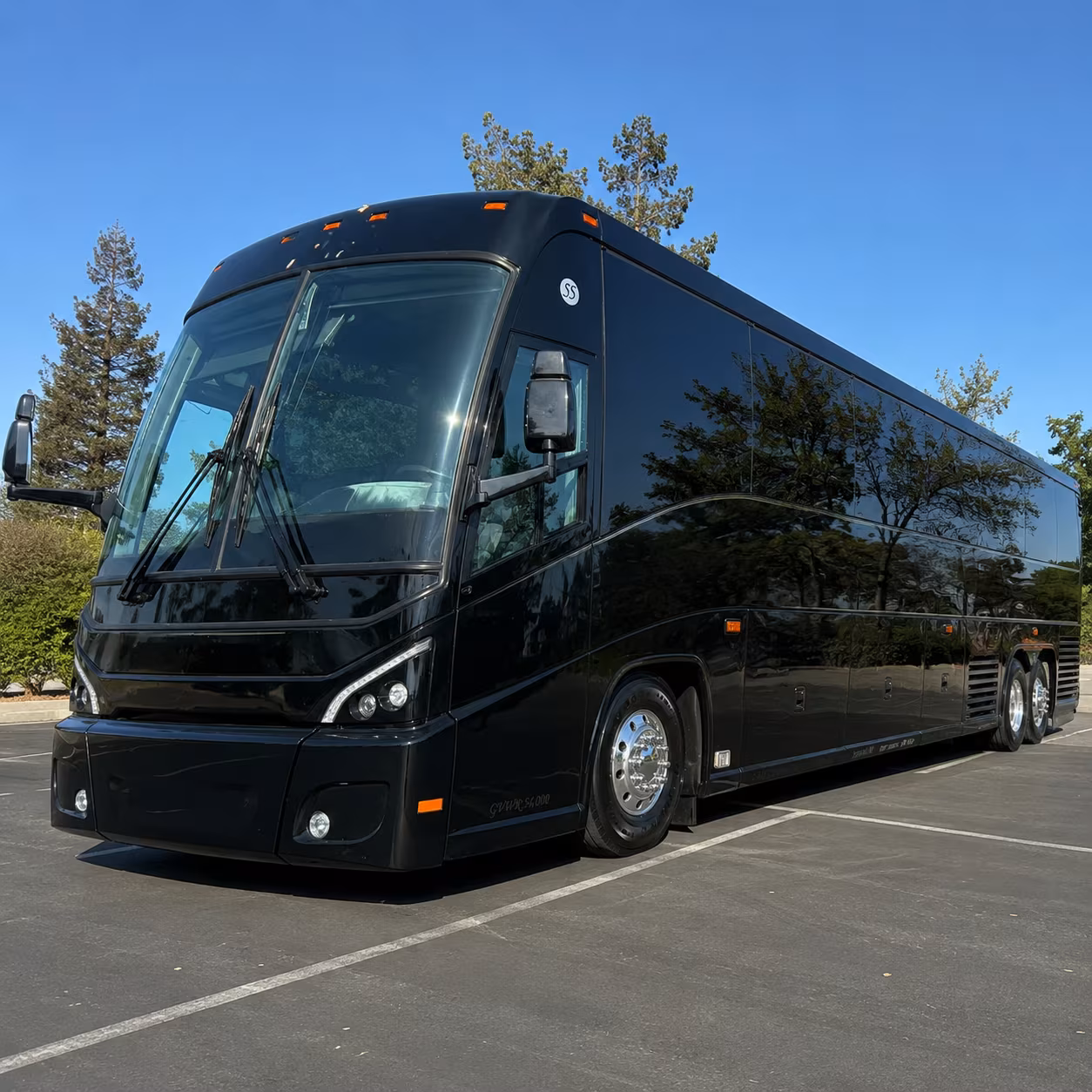 cruise transfers miami trips from sunrise florida
